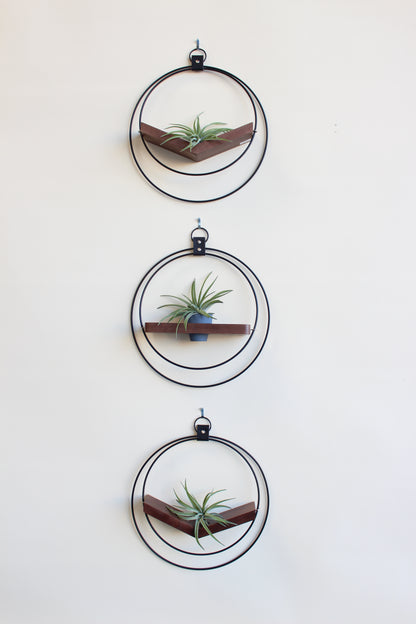 Air Plant V-Hanger &amp; Shelf Mixed Trio