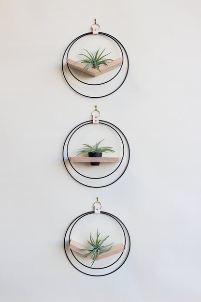 Air Plant V-Hanger &amp; Shelf Mixed Trio