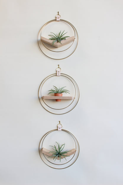 Air Plant V-Hanger &amp; Shelf Mixed Trio