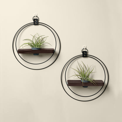braid &amp; wood dark &amp; stormy plant shelf duo with two air plants