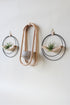 modern wall mounted obround hanging wood planter and matte black circular air plant hanger with air plants