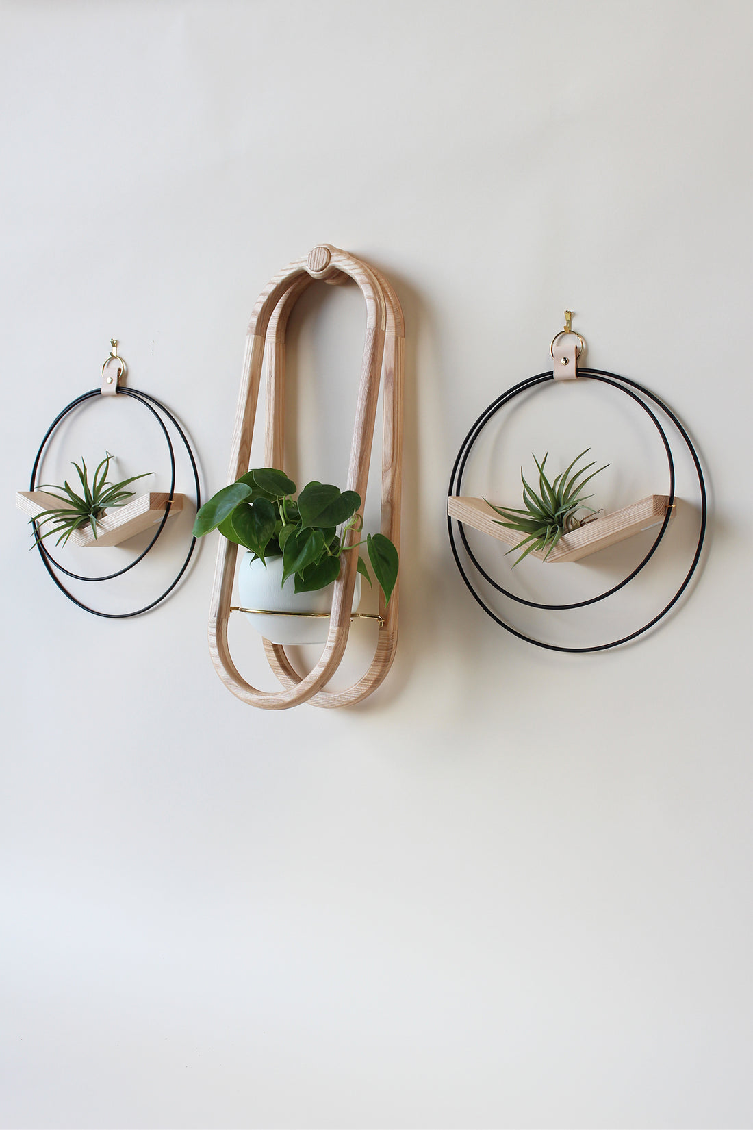 modern wall mounted obround hanging wood planter and matte black circular air plant hanger with houseplants