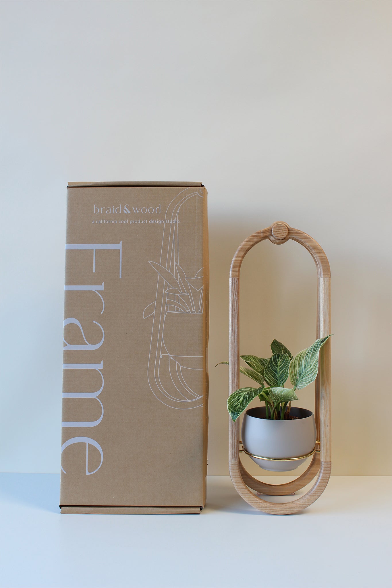 Frame Wall Planter + Pot