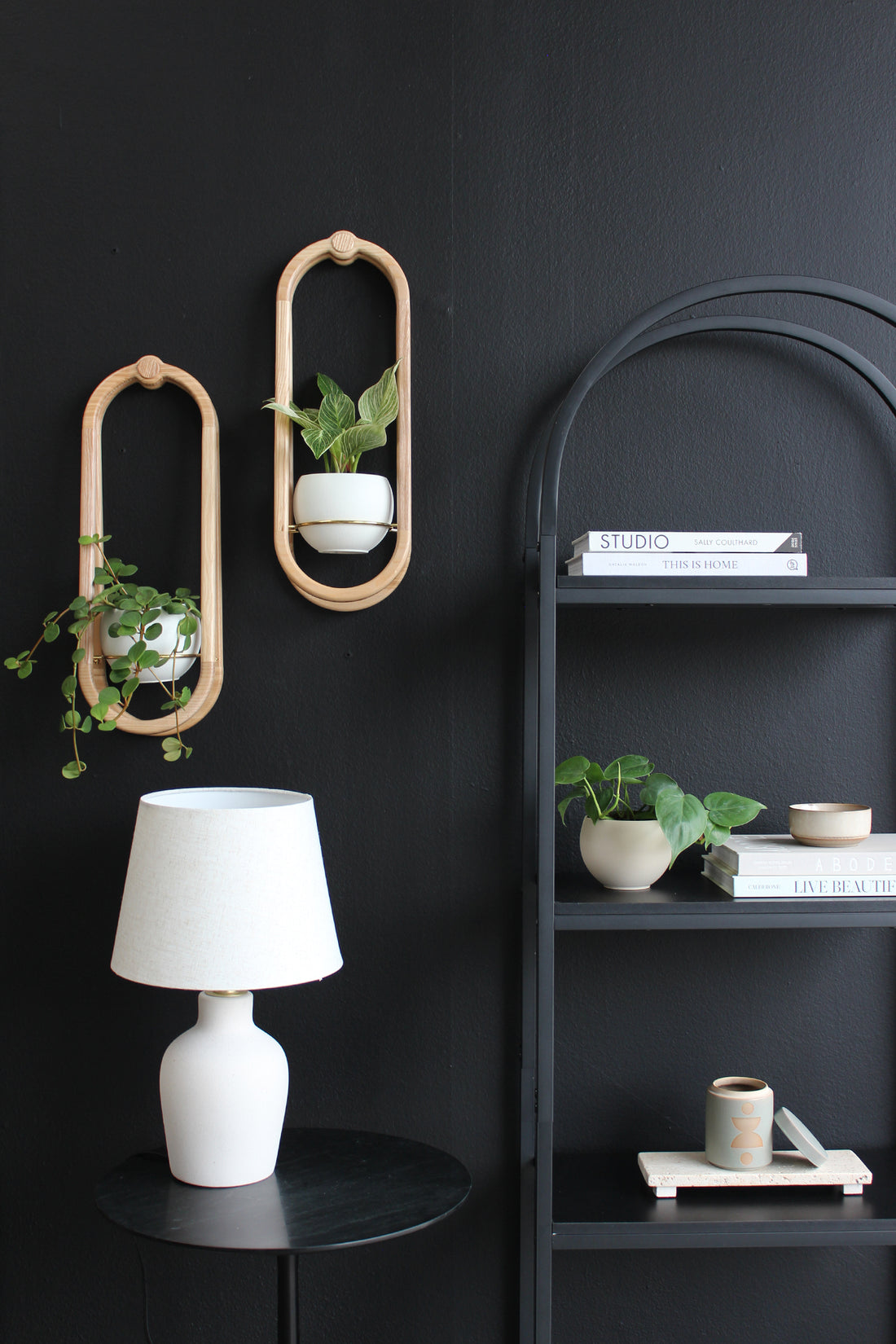 modern moody black accent wall styled with arched shelving unit and frame wall planters by braid &amp; wood