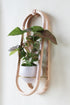 modern wall mounted wooden obround planter with blush pot and houseplant