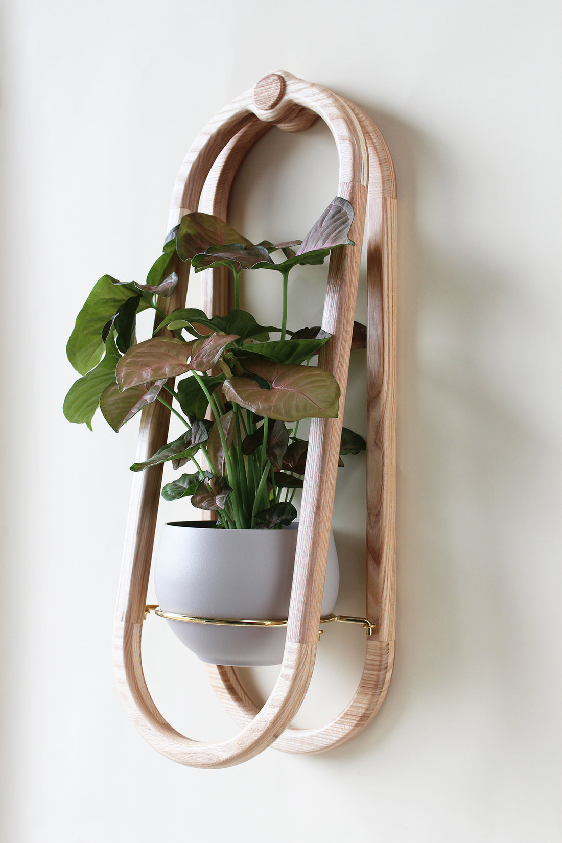 modern wall mounted wooden obround planter with tan pot and houseplant