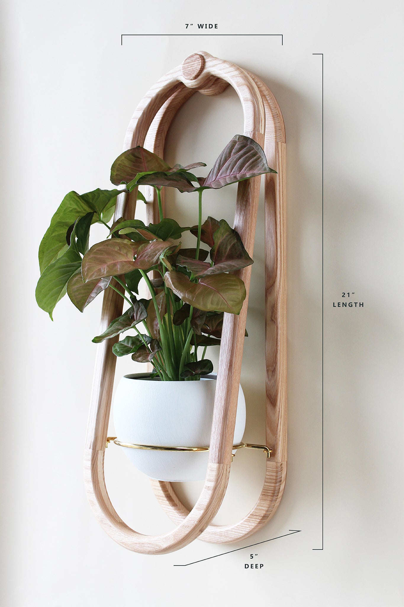 dimensions of frame wall planter and pot