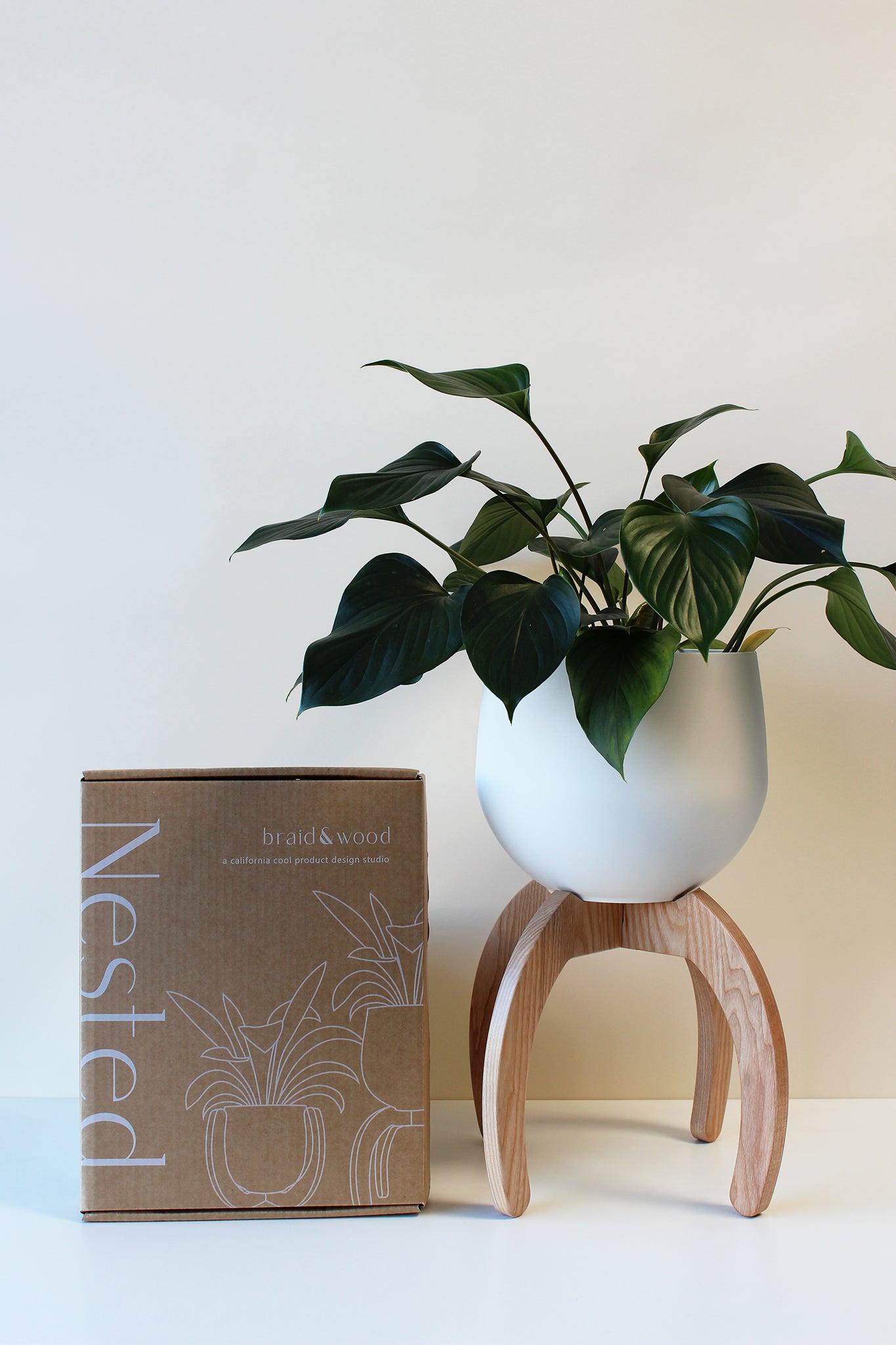 modern tabletop plant stand with white pot and green plant next to product packaging