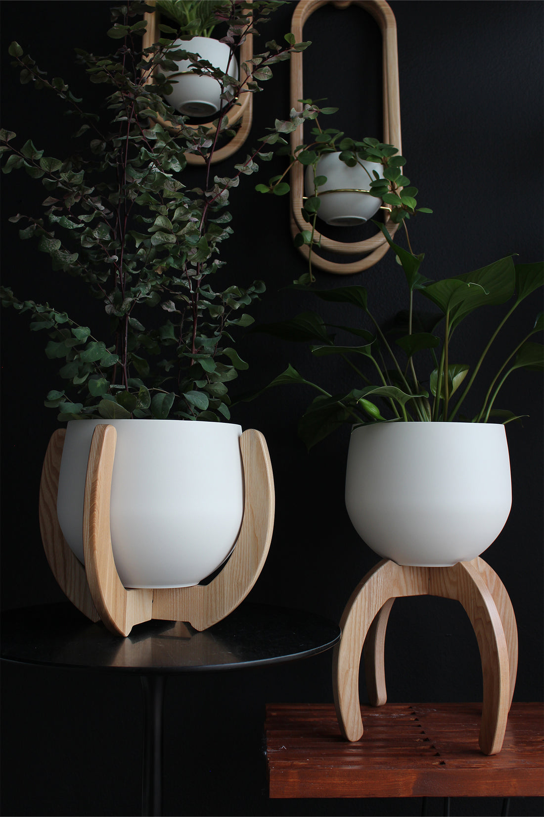 two modern wall planters with white pots and two tabletop plant stands with white pots