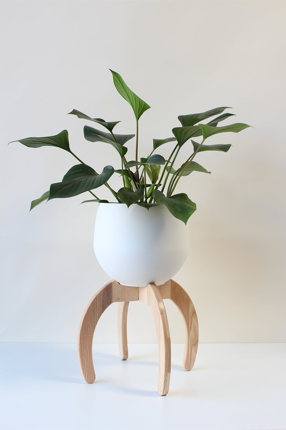 Nested Plant Stand + Pot