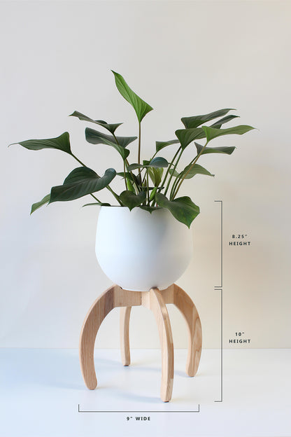 dimensions of the nested plant stand and pot by braid &amp; wood