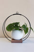 large circular hanging planter with matte black rings and walnut wood base and white colored aluminum pot for houseplants