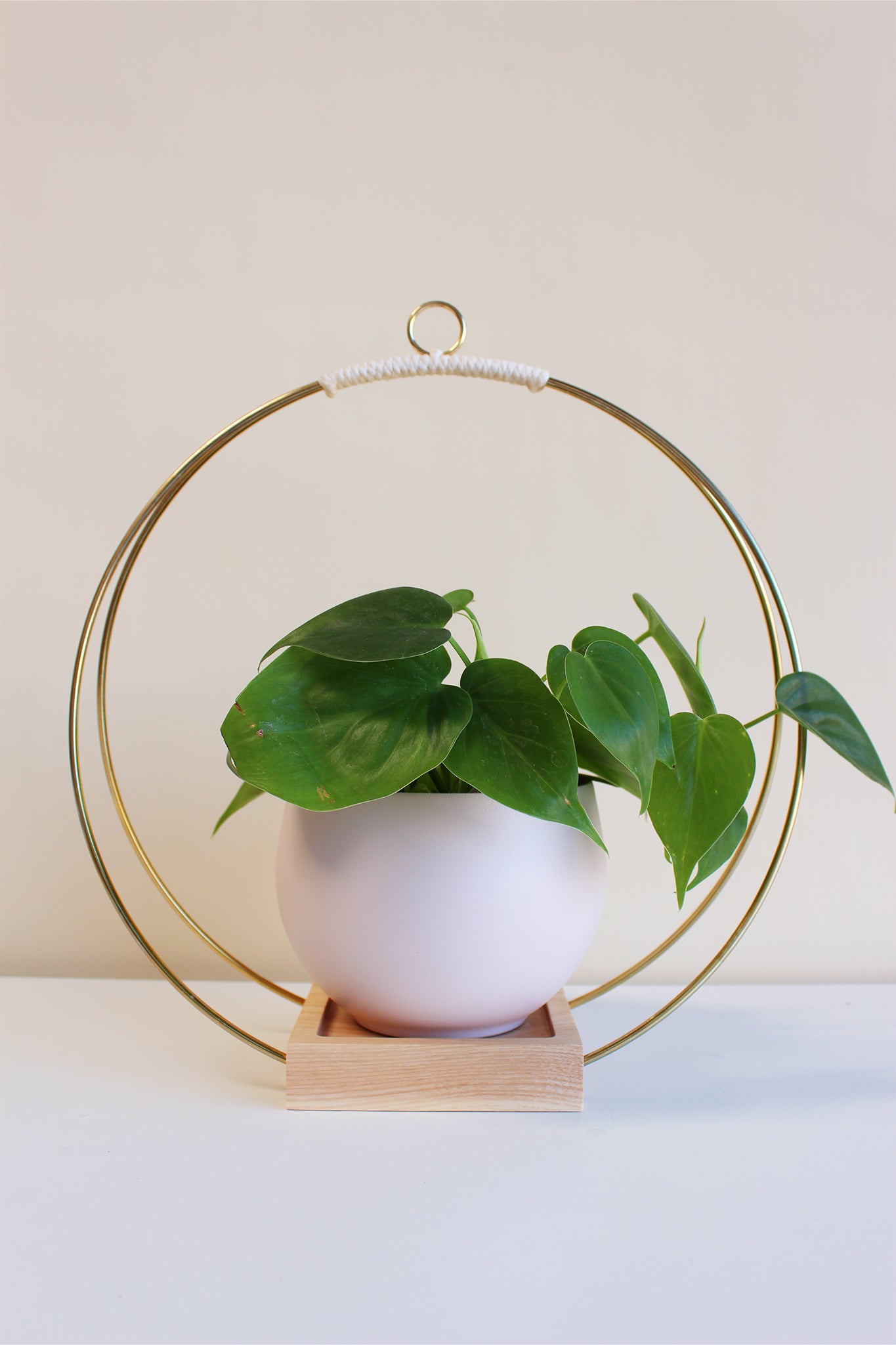 large gold circular plant hanger with blush colors aluminum pot for houseplant