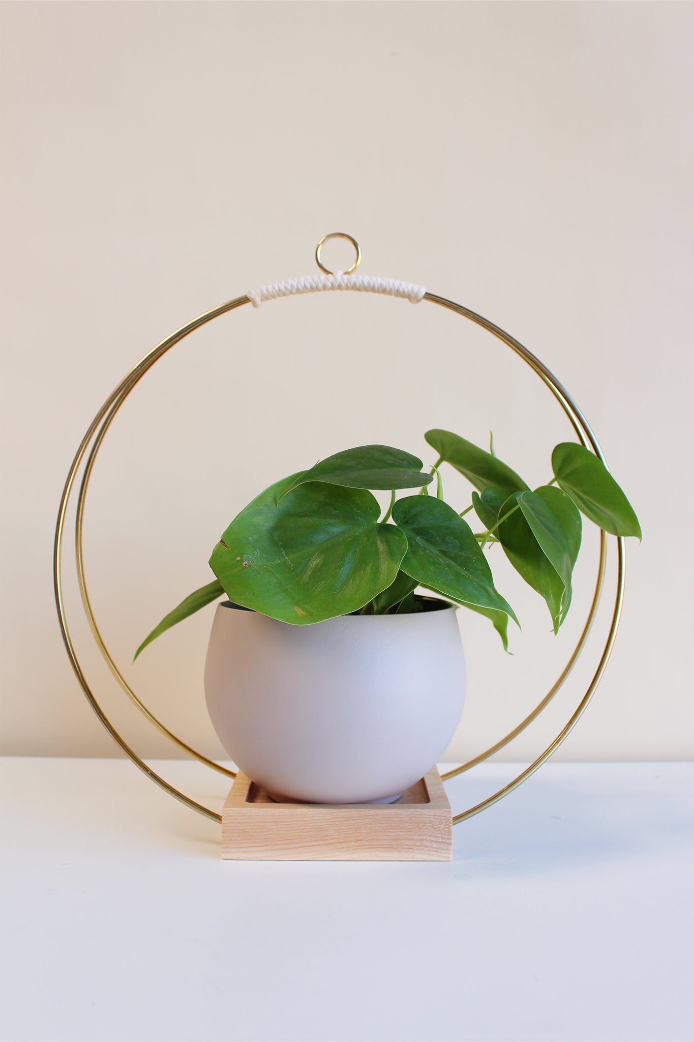 large gold circular plant hanger with tan colored aluminum pot for houseplants