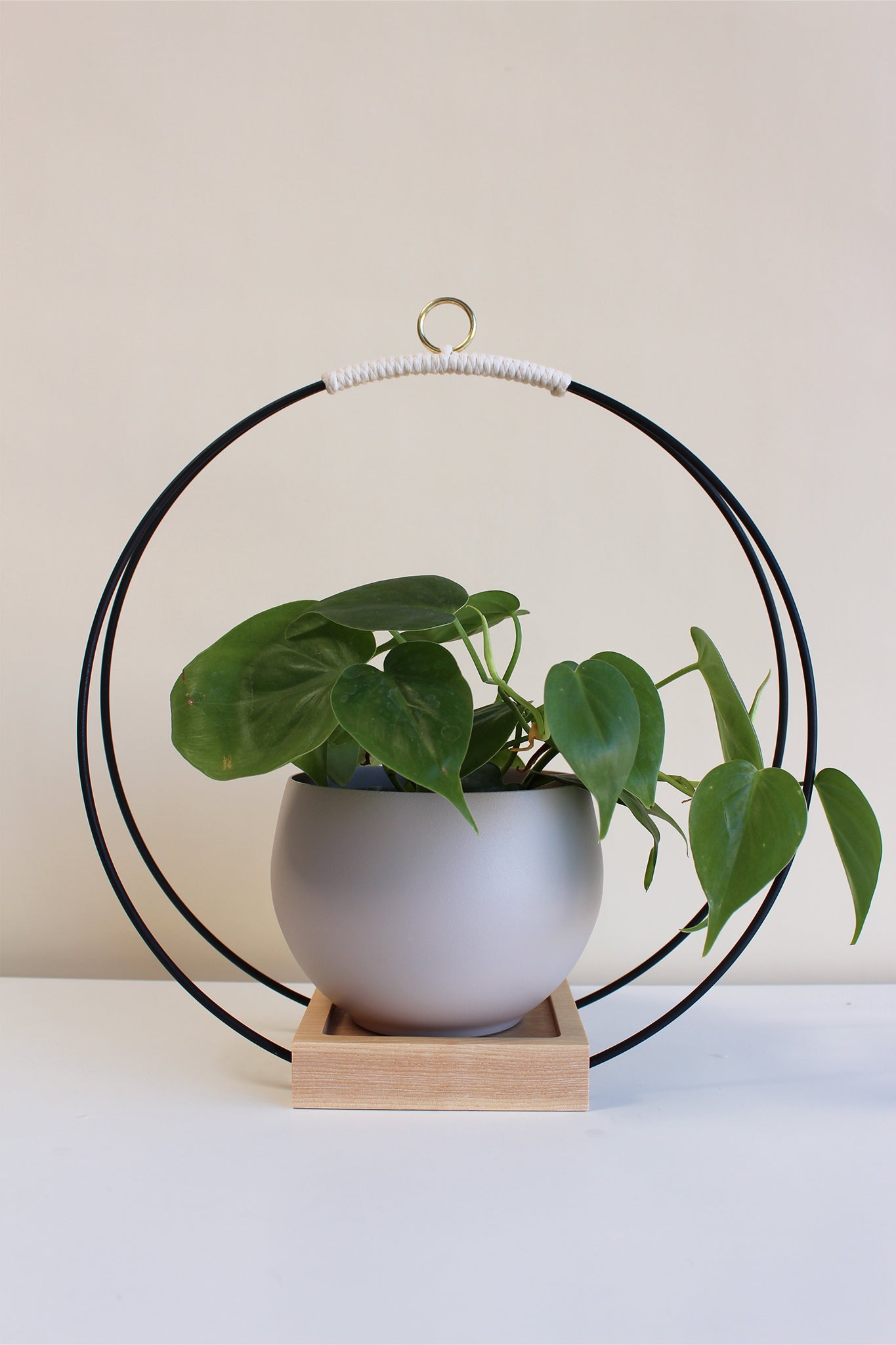 large circular hanging planter with matte black rings and tan pot for houseplants