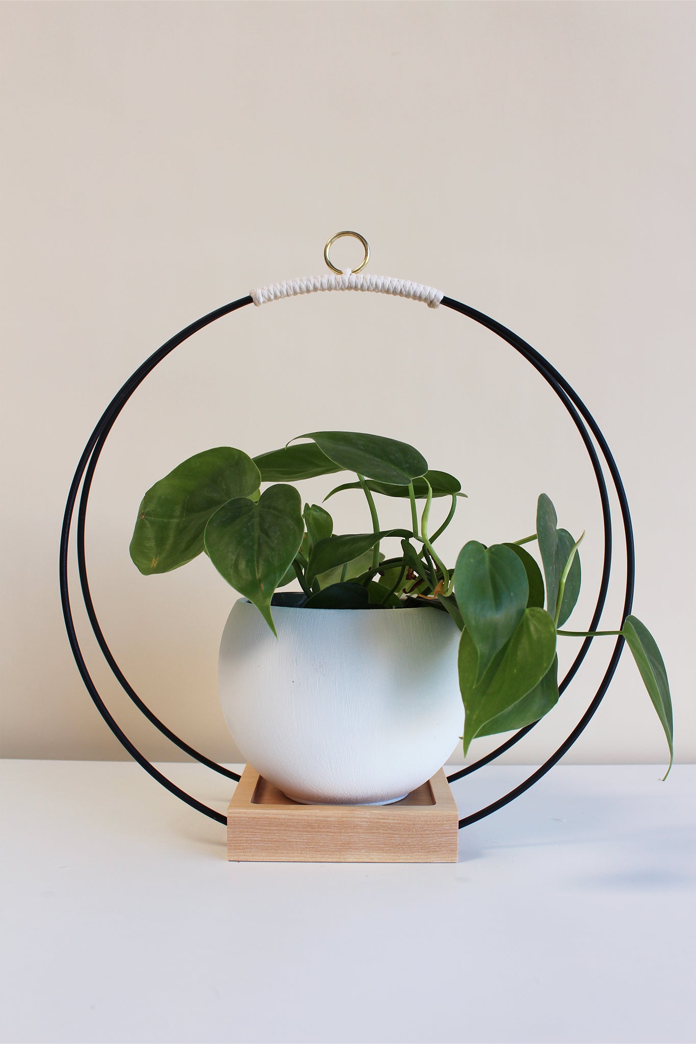 large circular hanging planter with matte black rings and white pot for houseplants