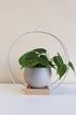 large circular white plant hanger with tan aluminum pot for houseplants