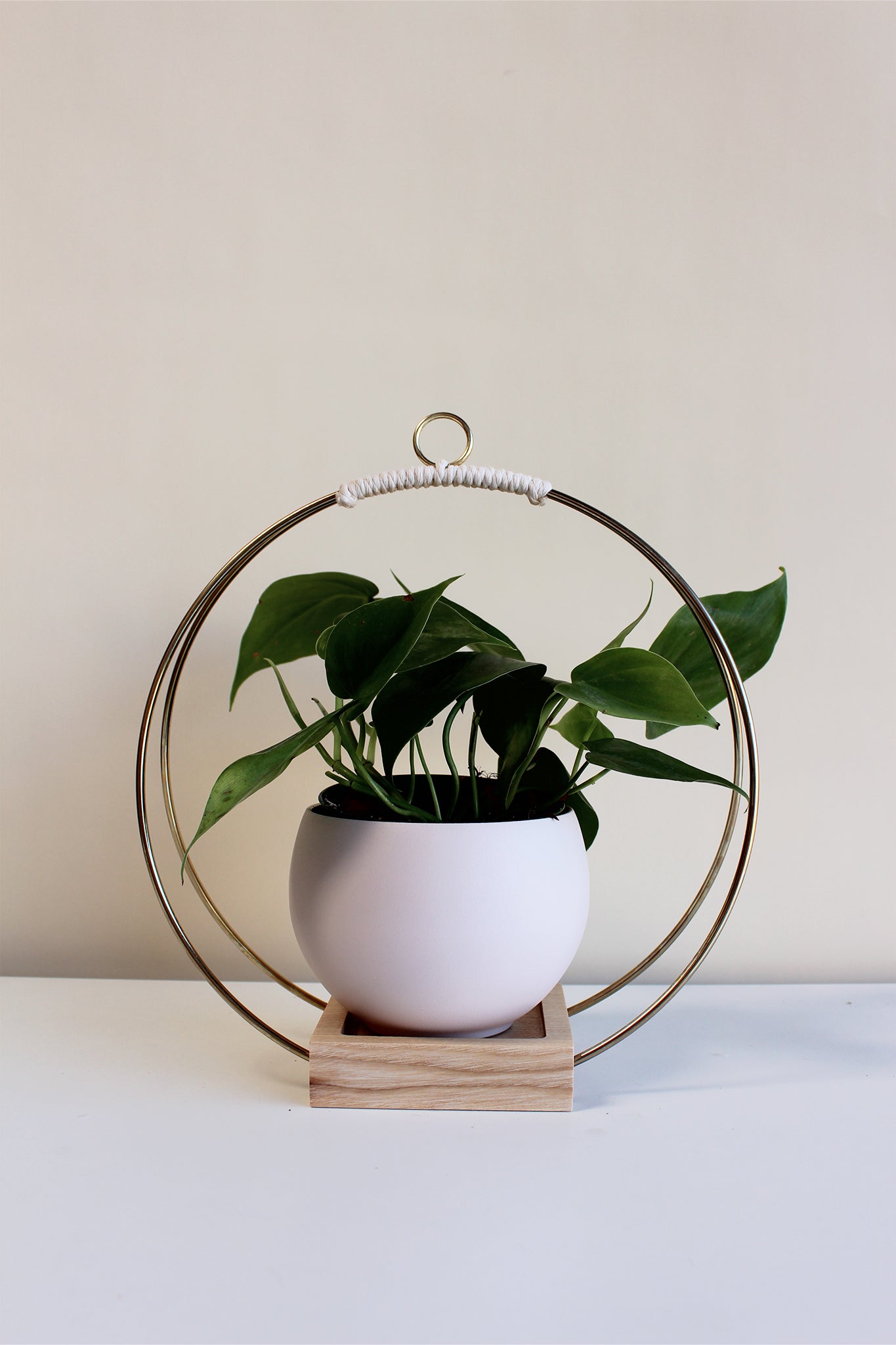 medium gold circular hanging planter with light wood base and blush colored aluminum pot