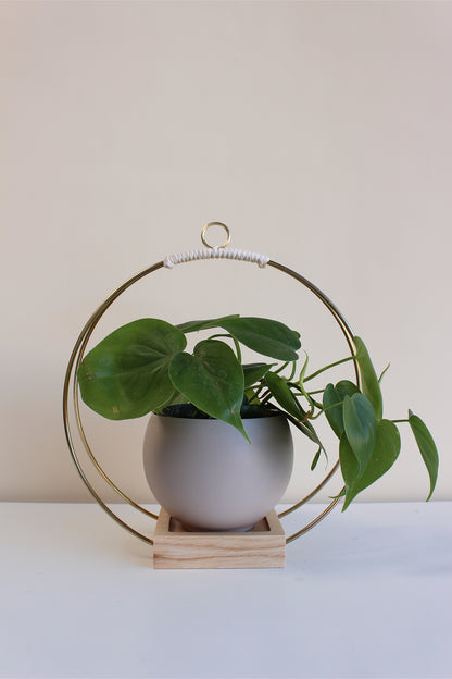 medium gold circular hanging planter with light wood base and tan colored aluminum pot