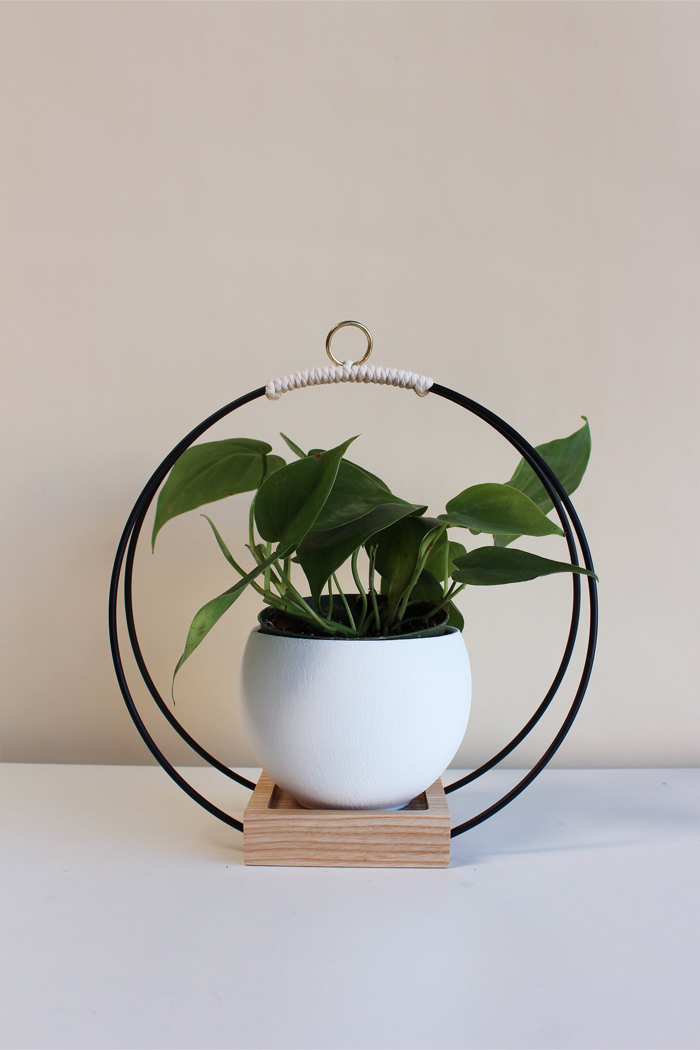 Medium Wooden Plant Hanger, Tear Drop Hanger, hotsell Planter With Saucer, Air Plant H