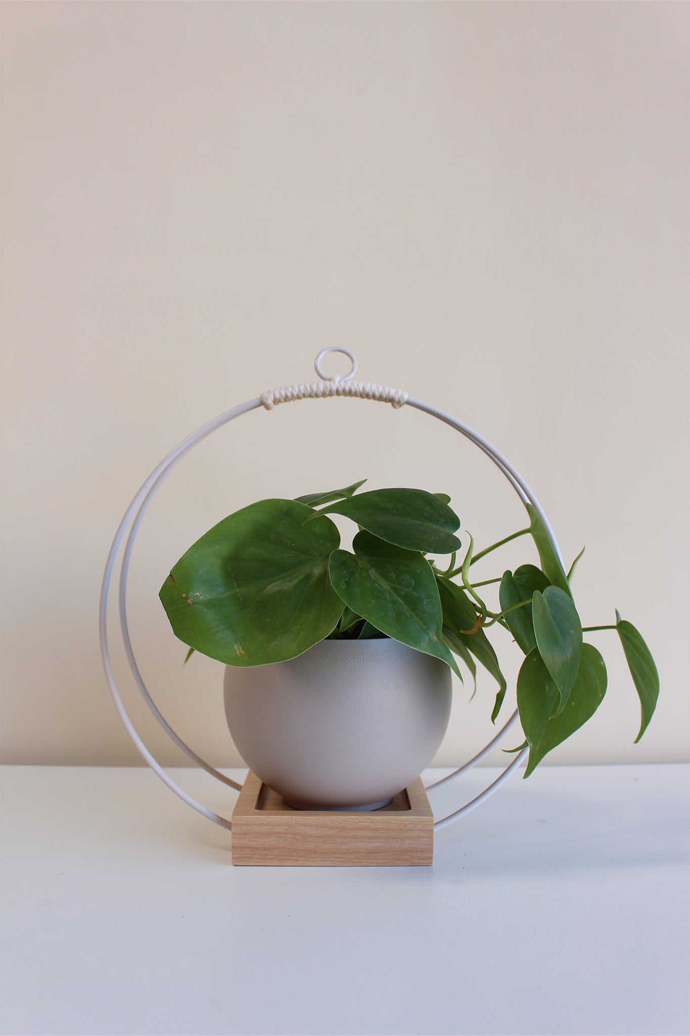 medium circular white hanging planter with tan pot for houseplants