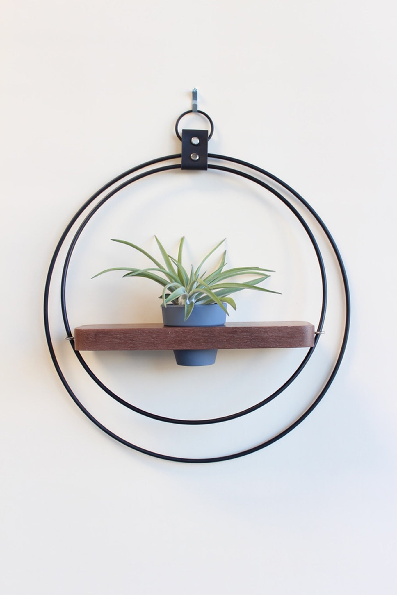 matte black wall mounted hanging planter for air plants