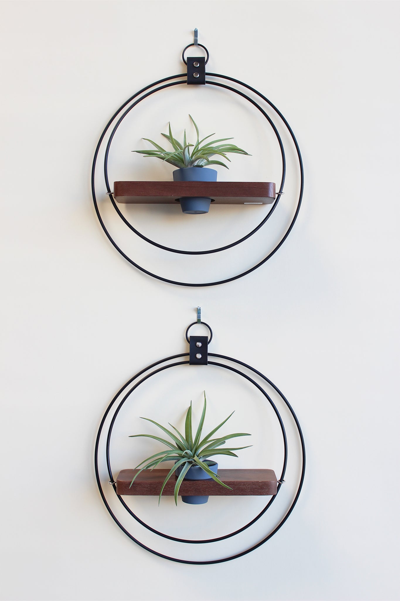 Plant Shelf, Wall Mounted Plant store Shelf, Hanging Planter, Air Plant Holder