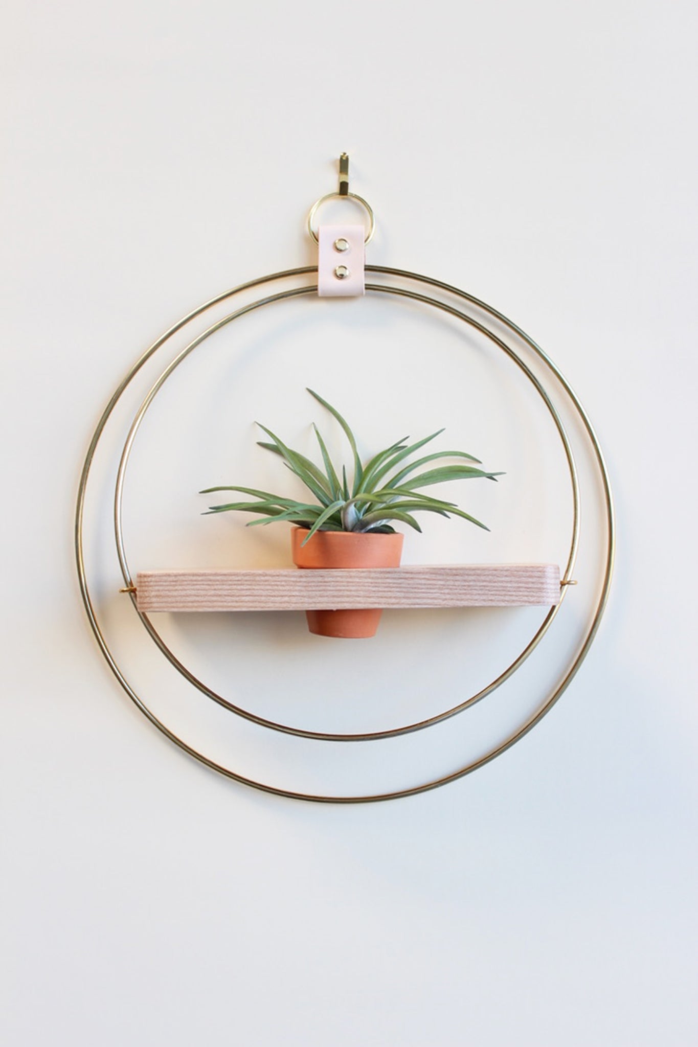 circular gold wall mounted hanging planter for air plants