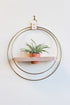 circular gold wall mounted hanging planter for air plants