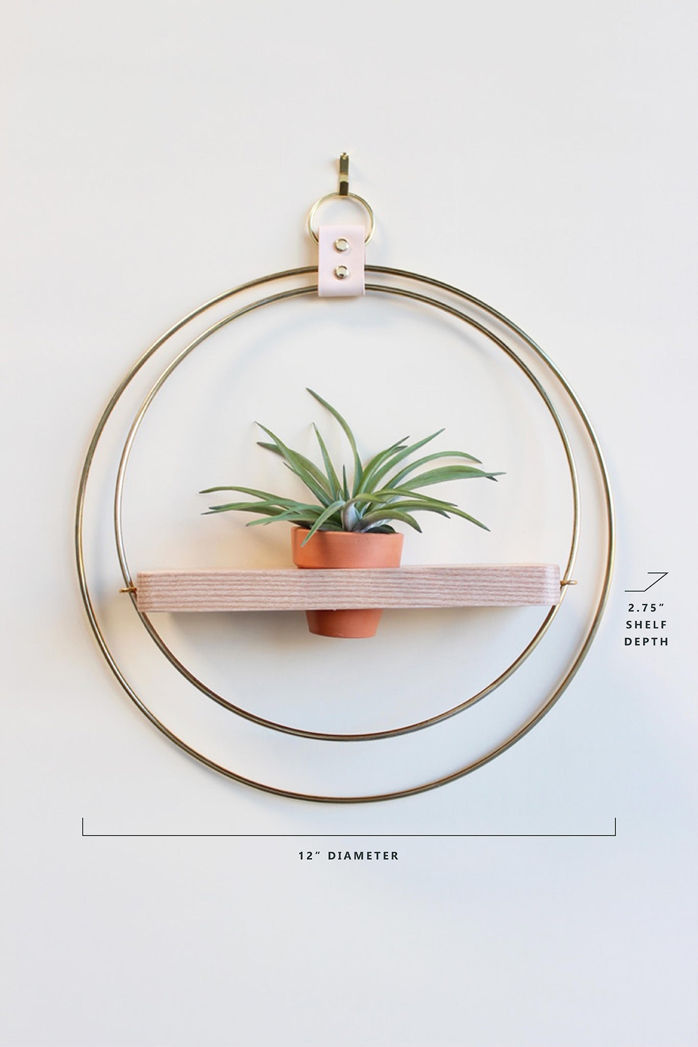 Air Plant Shelf + Pot Trio