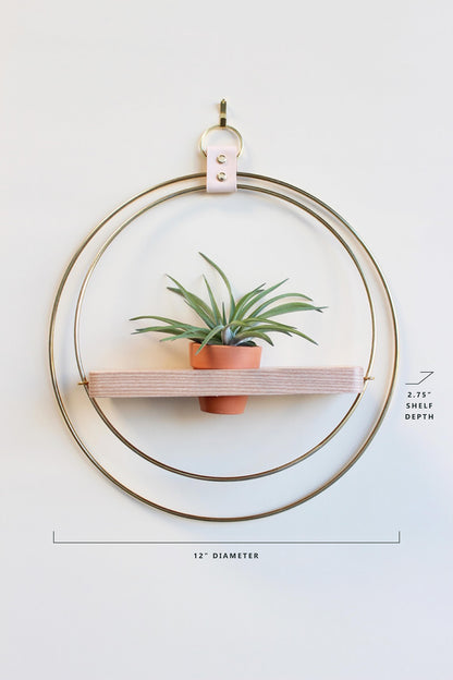 Air Plant Shelf + Pot Trio