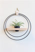 matte black and light wood circular wall mounted hanging planter for air plants