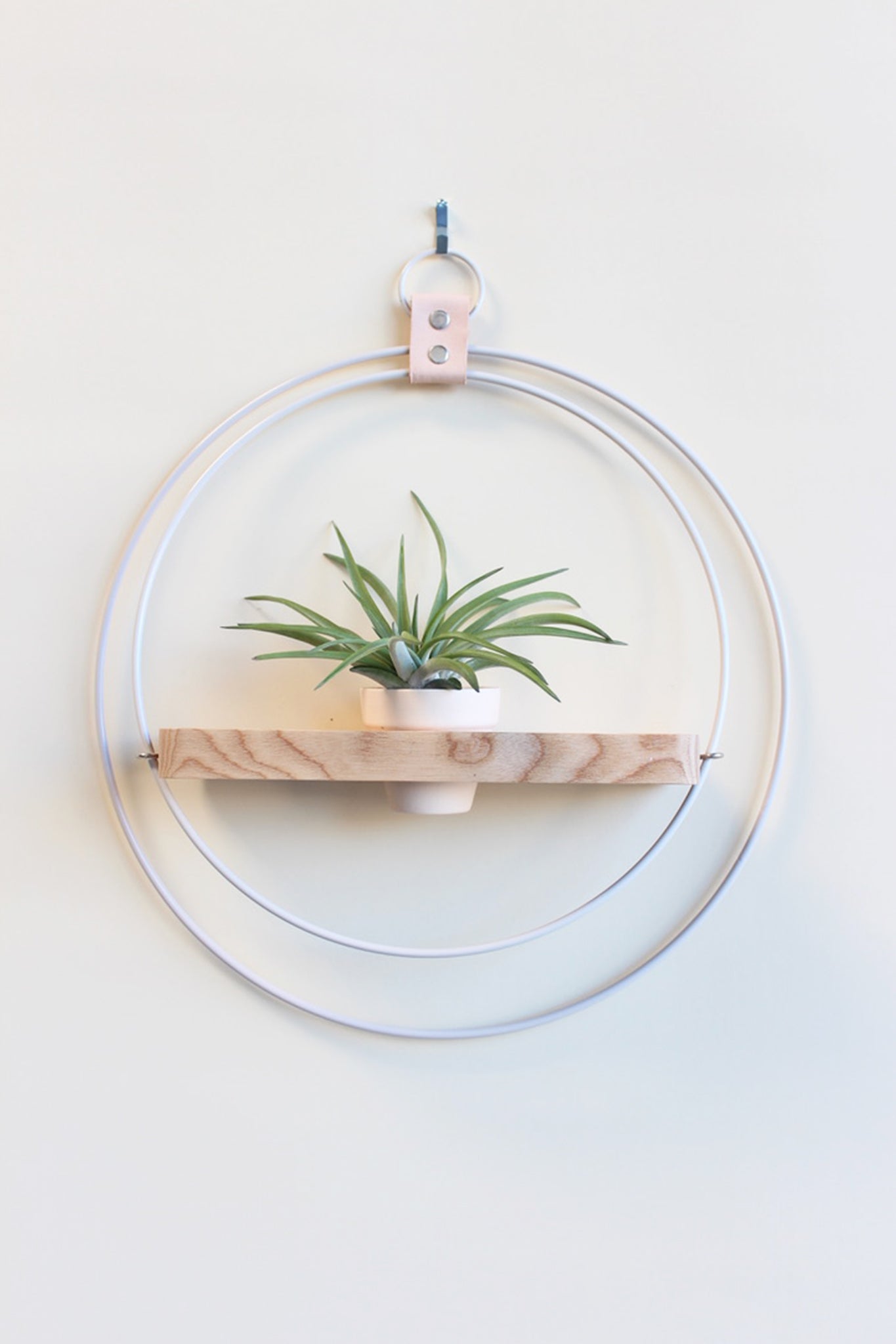 white and light wood circular wall mounted hanging planter for air plants