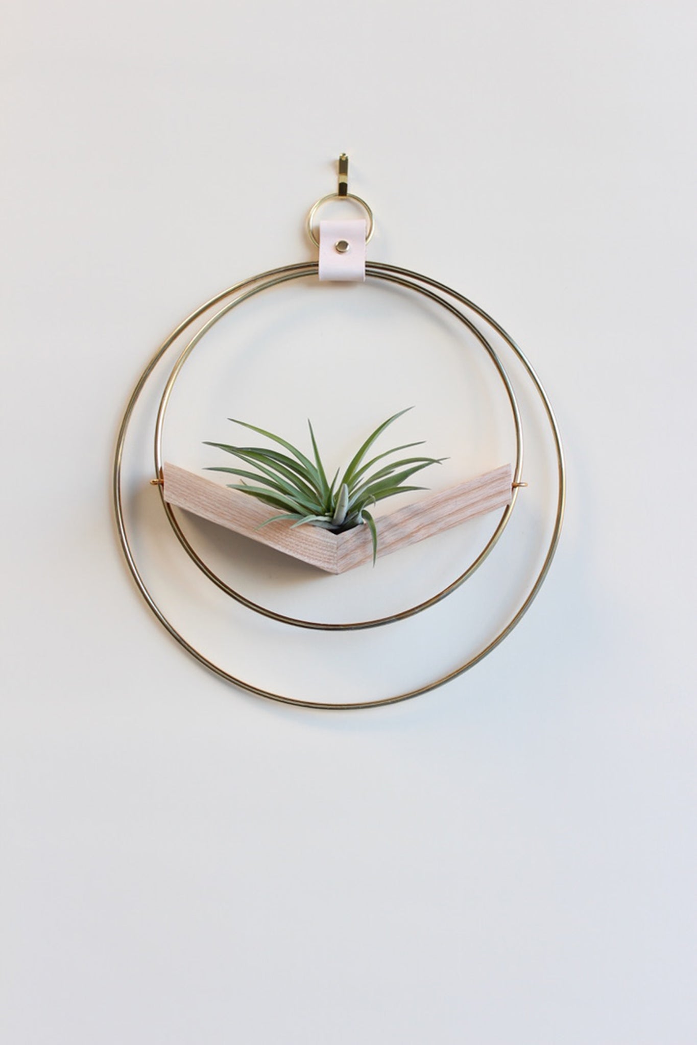 modern wall mounted small v shaped air plant hanger with gold rings and light wood v shelf