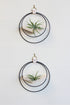 modern wall decor v hanging matte black plant shelf with light stained wood made for air plants