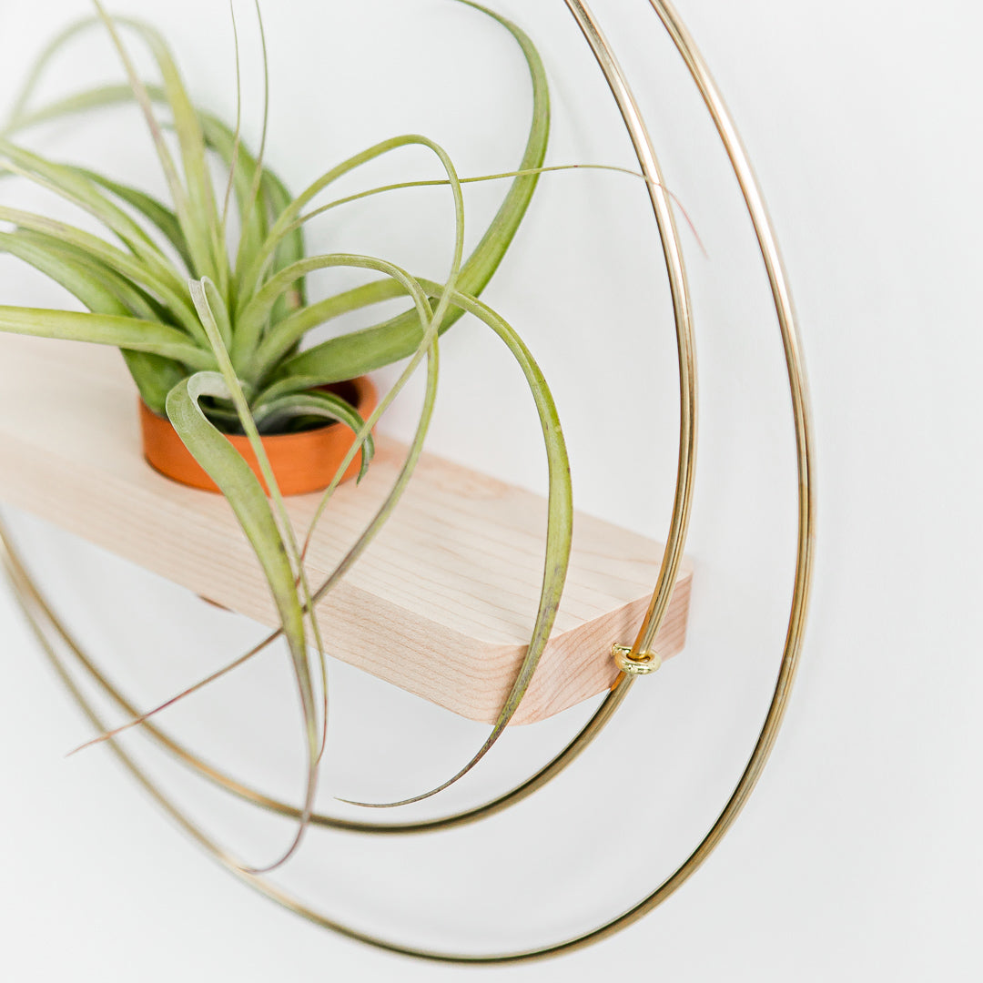 Plant Shelf, Wall offers Mounted Plant Shelf, Hanging Planter, Air Plant Holder